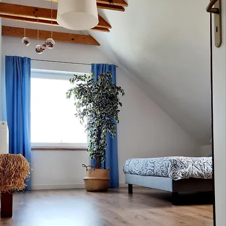 Trasa S7 W 2H Z Warszawy I Gdanska, Jadamowo Holidaymazury Nad Jeziorem Mielno Olsztynek Exterior photo